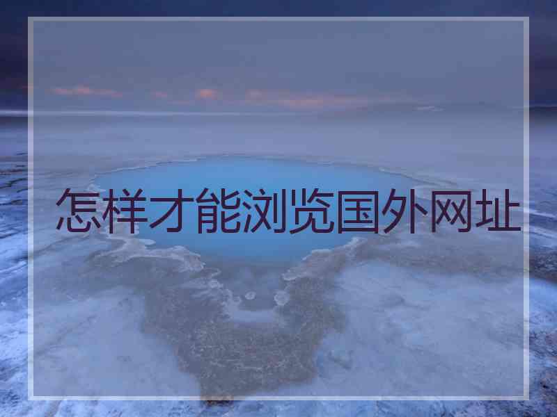 怎样才能浏览国外网址