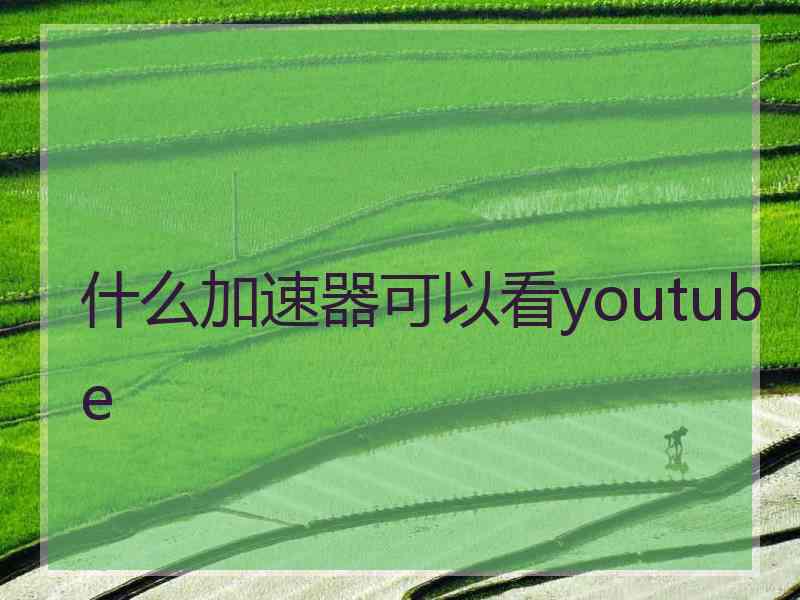 什么加速器可以看youtube