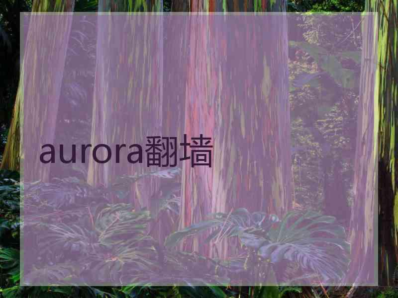 aurora翻墙