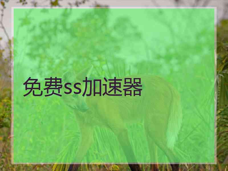免费ss加速器