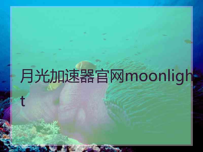 月光加速器官网moonlight