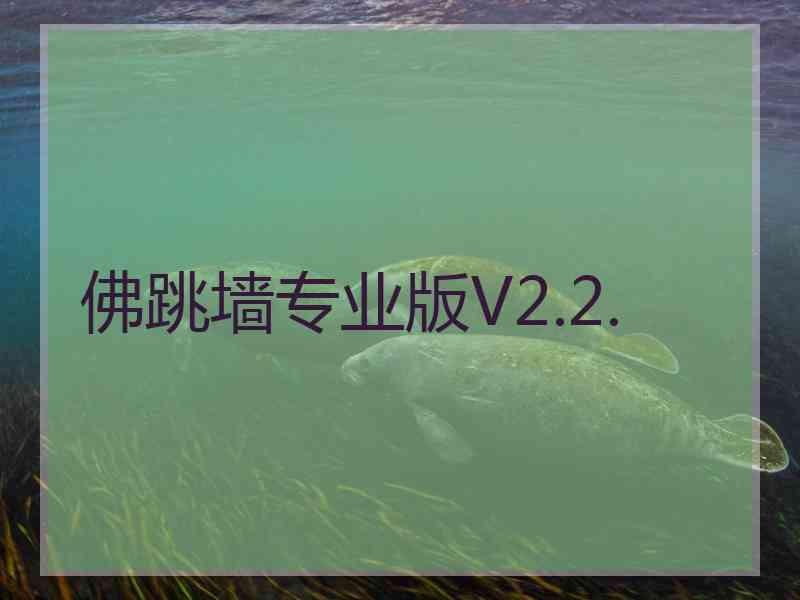 佛跳墙专业版V2.2.