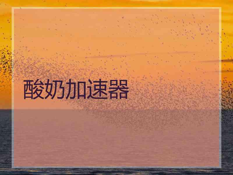 酸奶加速器