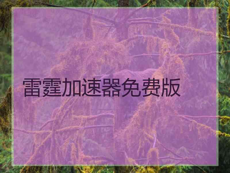 雷霆加速器免费版