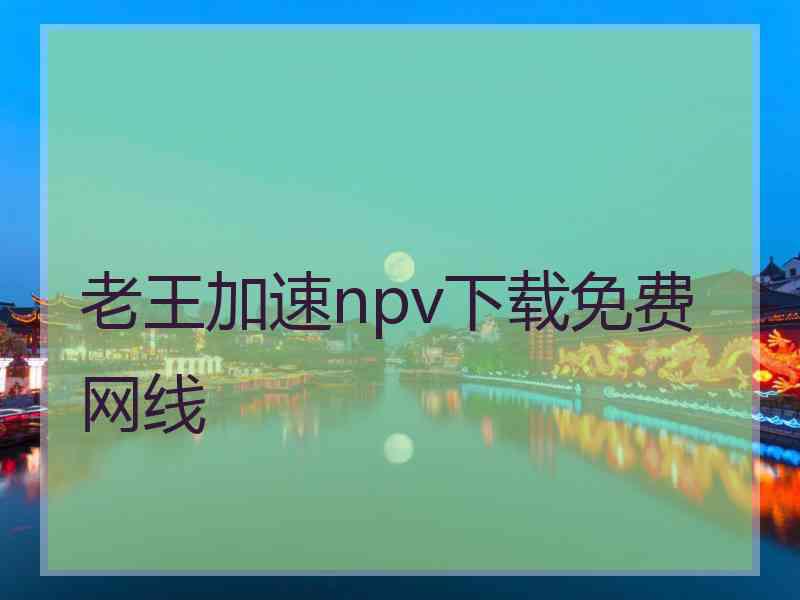 老王加速npv下载免费网线