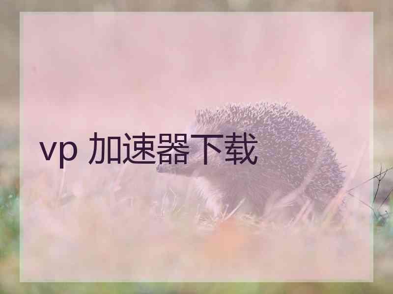 vp 加速器下载