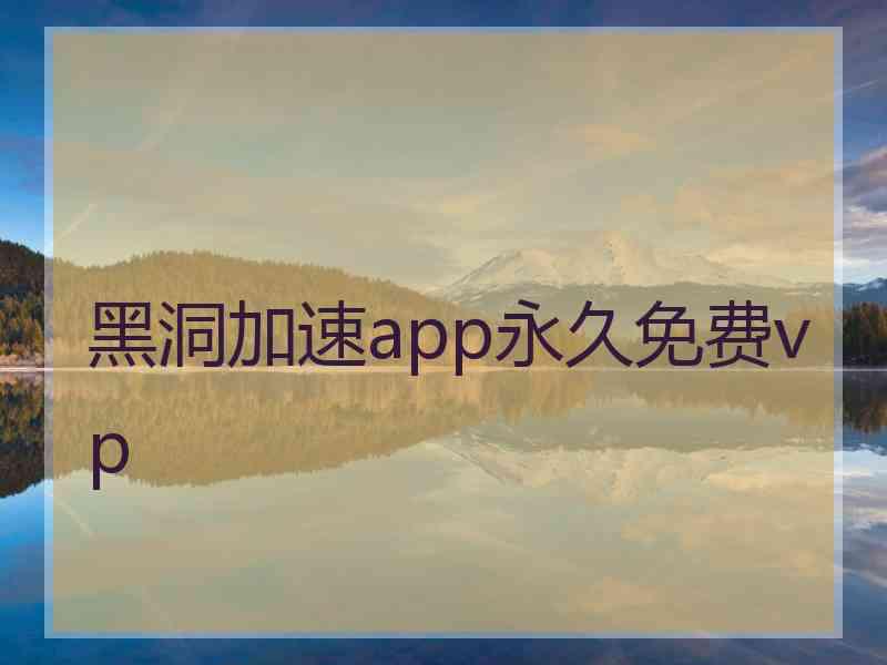 黑洞加速app永久免费vp