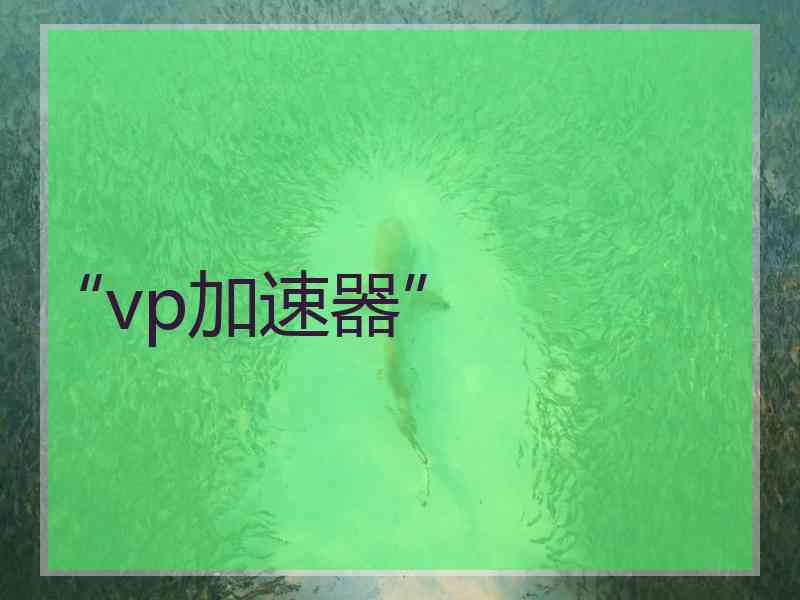 “vp加速器”