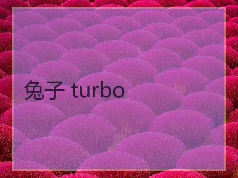 兔子 turbo