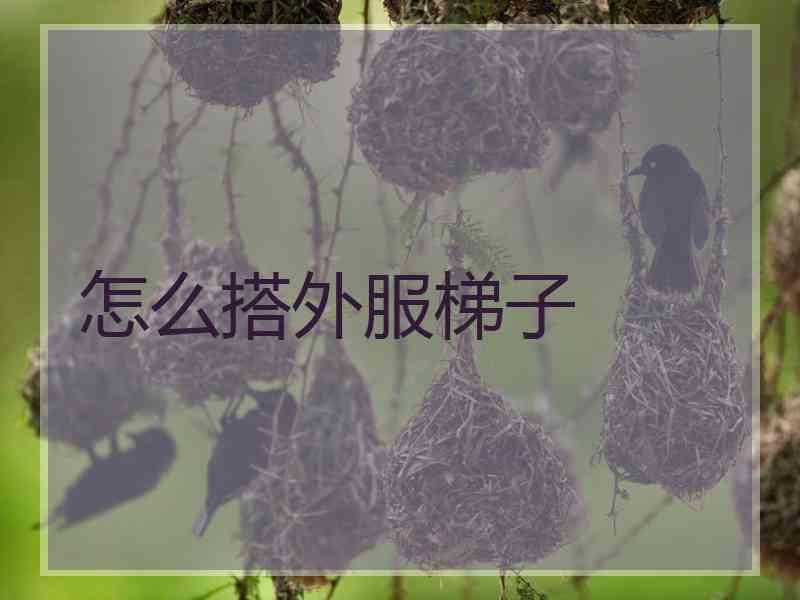 怎么搭外服梯子