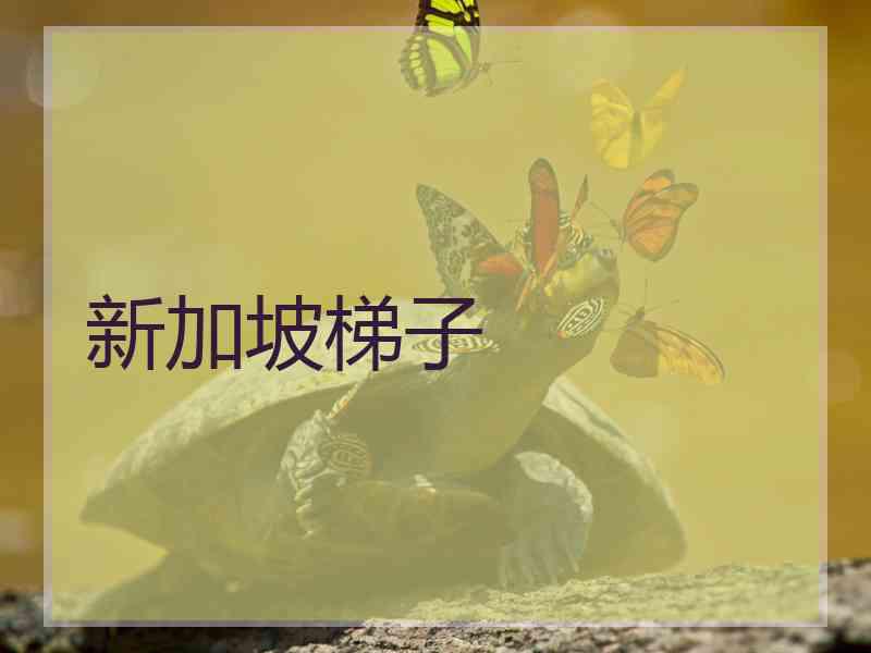 新加坡梯子