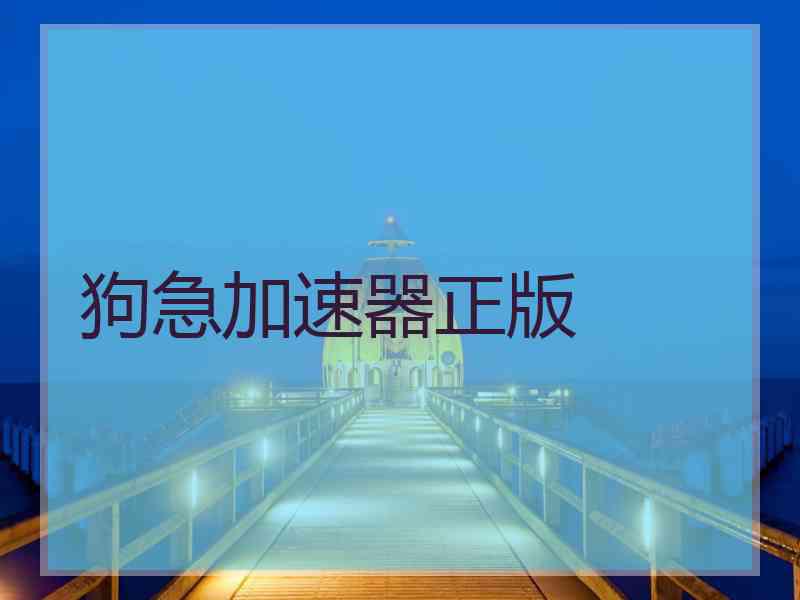 狗急加速器正版