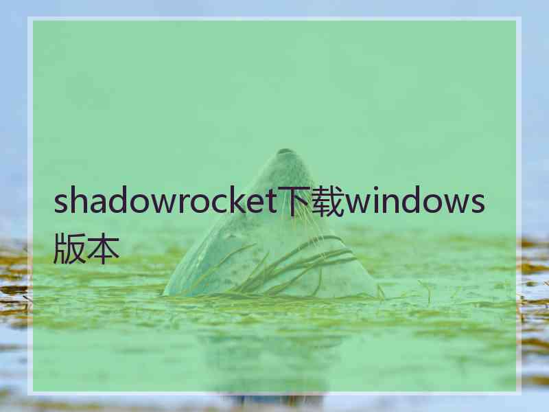 shadowrocket下载windows版本