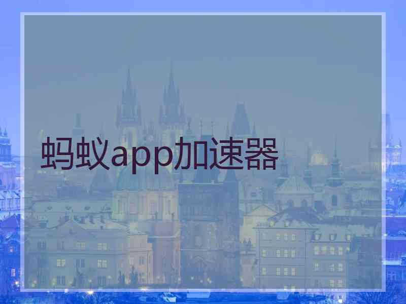 蚂蚁app加速器
