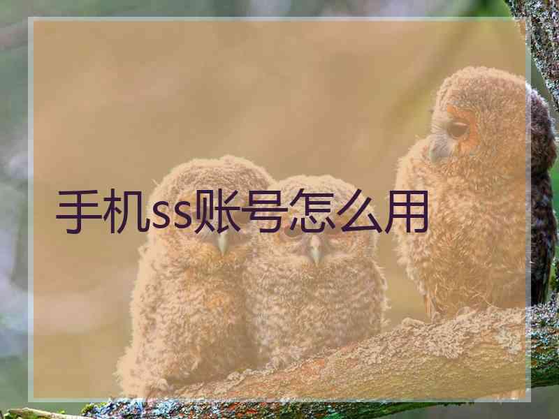 手机ss账号怎么用