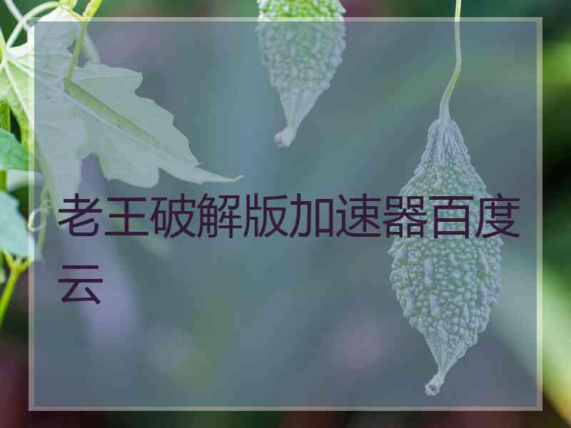 老王破解版加速器百度云