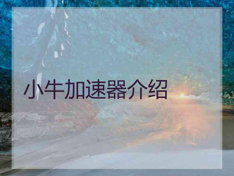 小牛加速器介绍