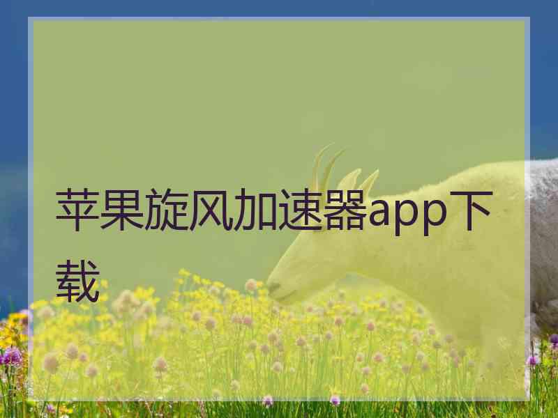 苹果旋风加速器app下载