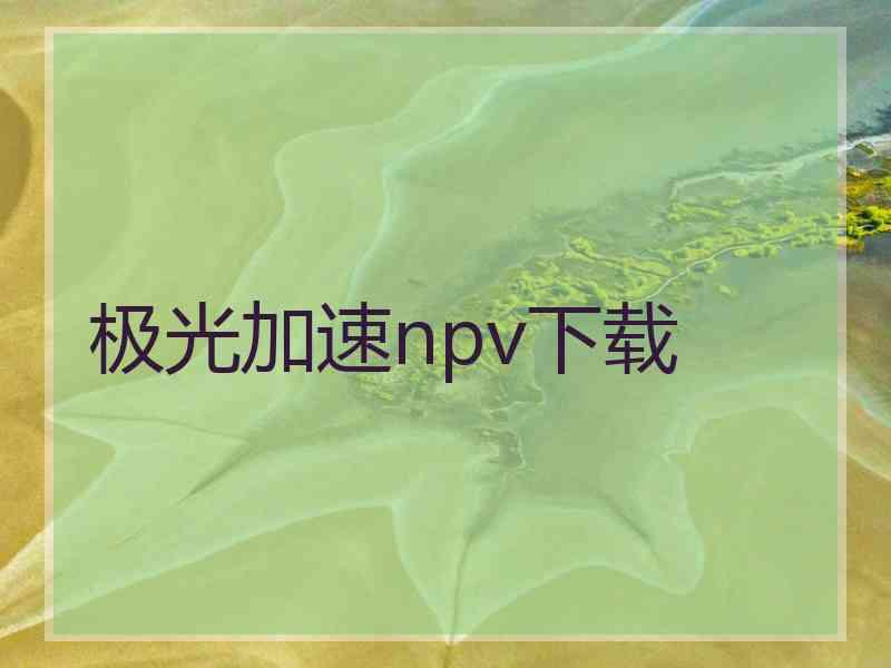 极光加速npv下载