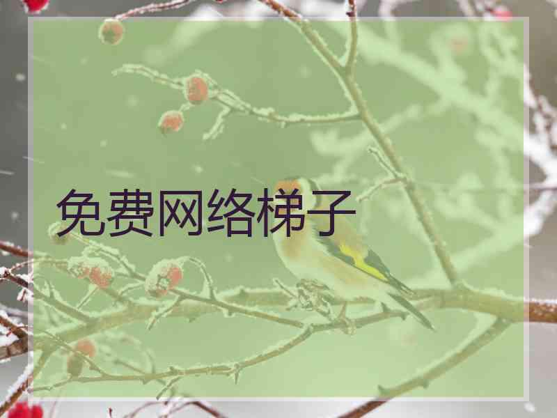 免费网络梯子
