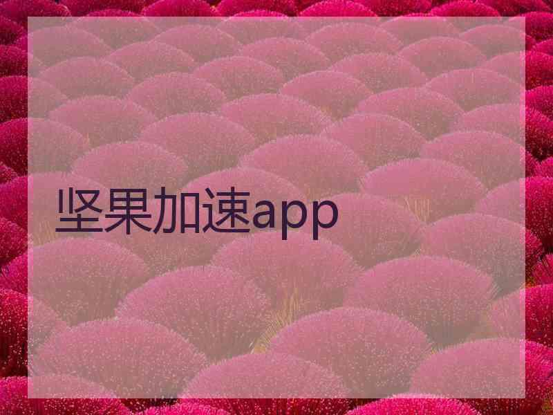 坚果加速app