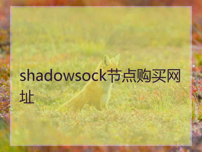shadowsock节点购买网址