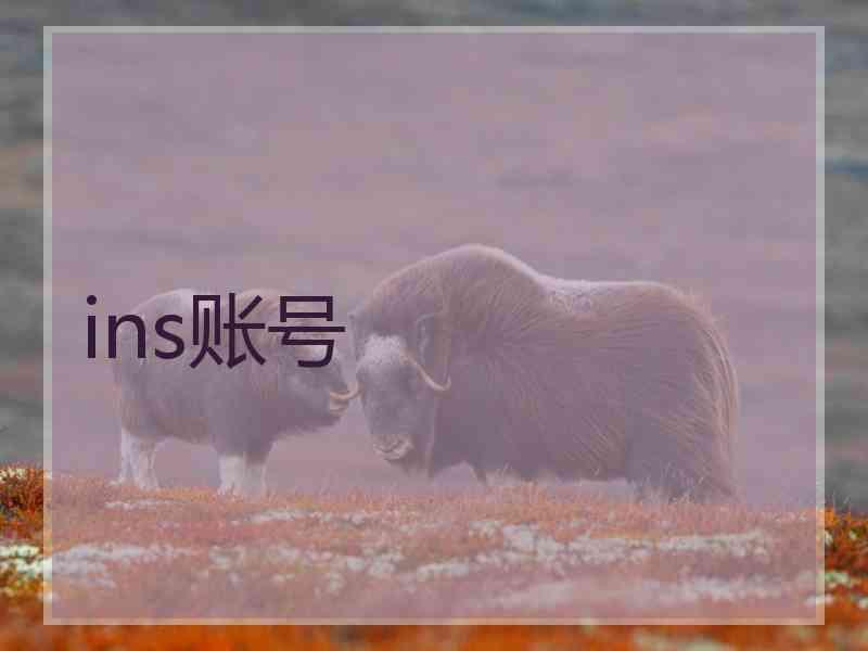 ins账号