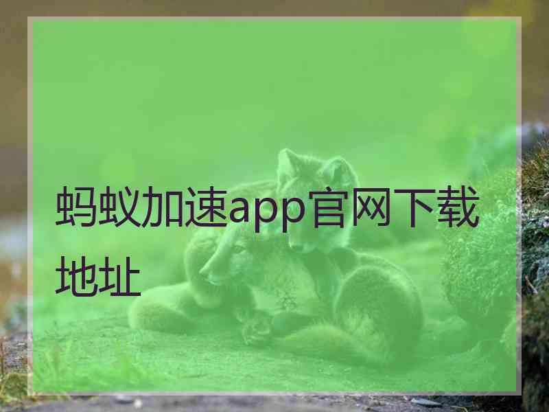 蚂蚁加速app官网下载地址