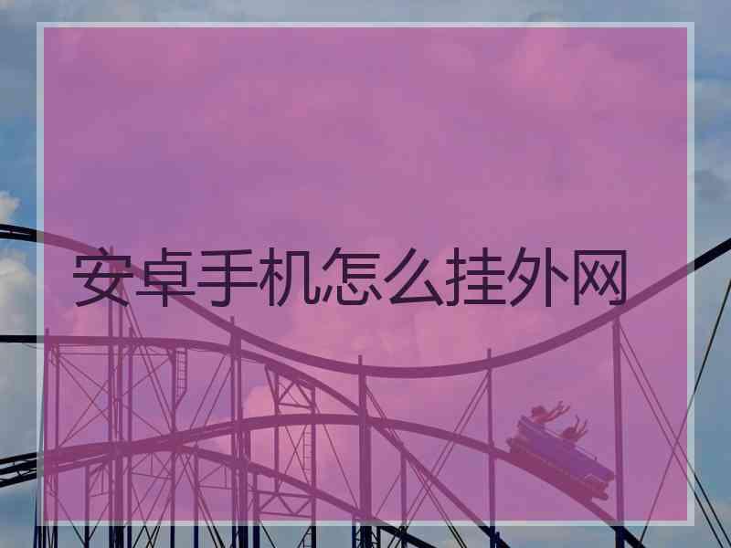 安卓手机怎么挂外网