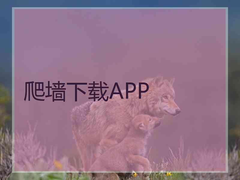 爬墙下载APP