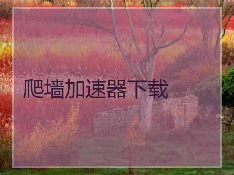 爬墙加速器下载