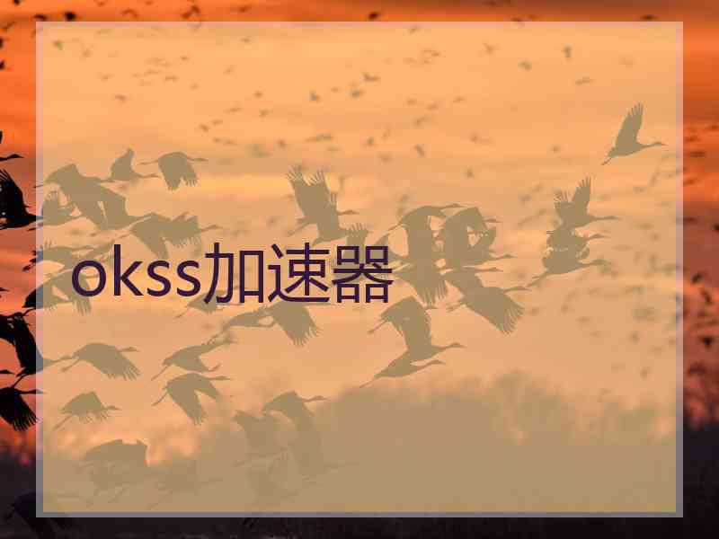 okss加速器