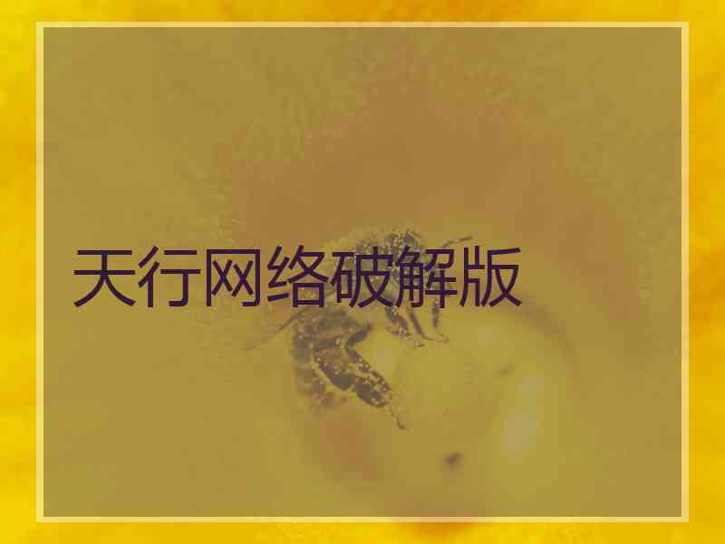 天行网络破解版