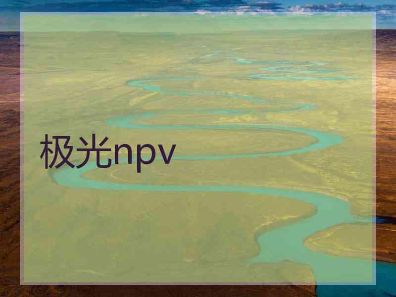极光npv