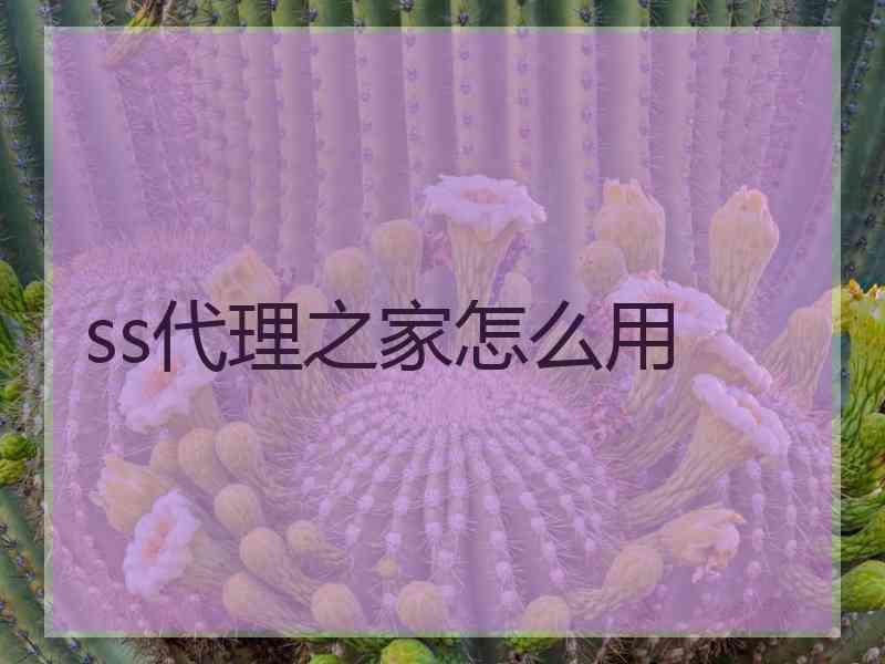 ss代理之家怎么用