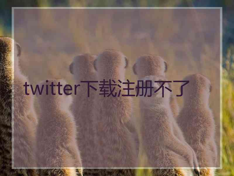 twitter下载注册不了
