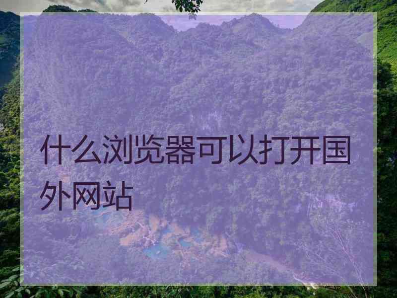 什么浏览器可以打开国外网站