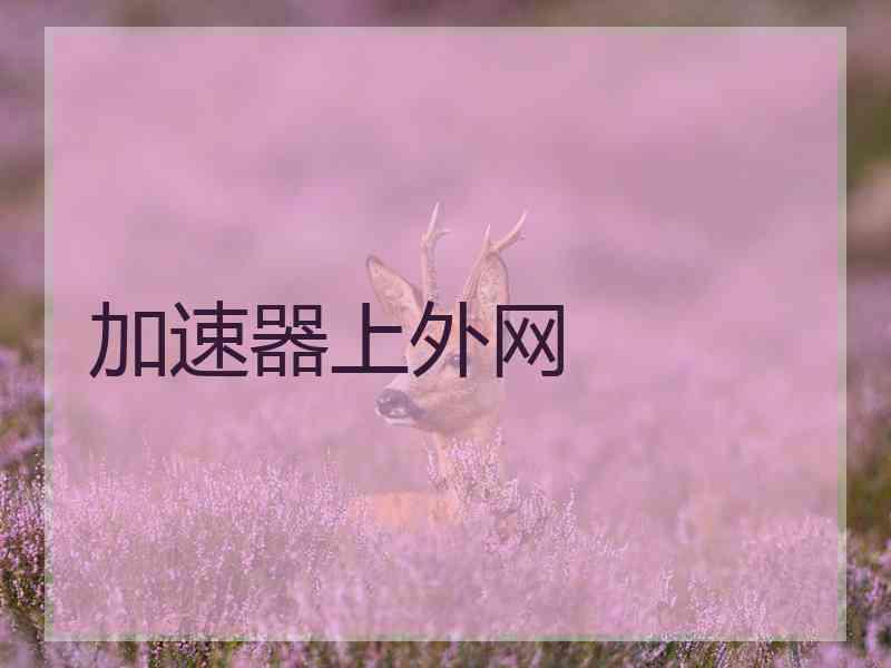 加速器上外网