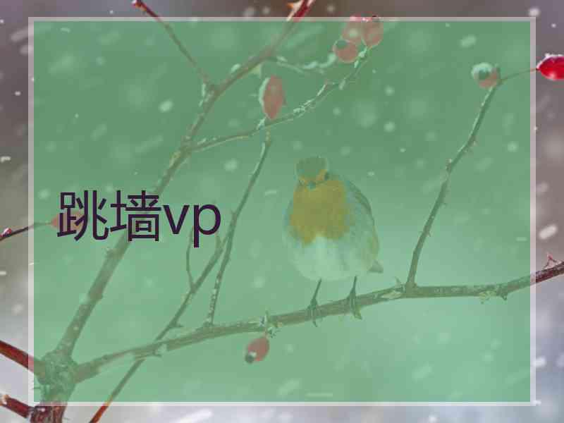 跳墙vp