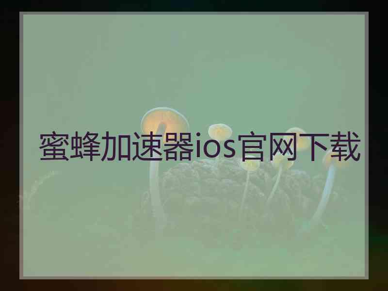 蜜蜂加速器ios官网下载