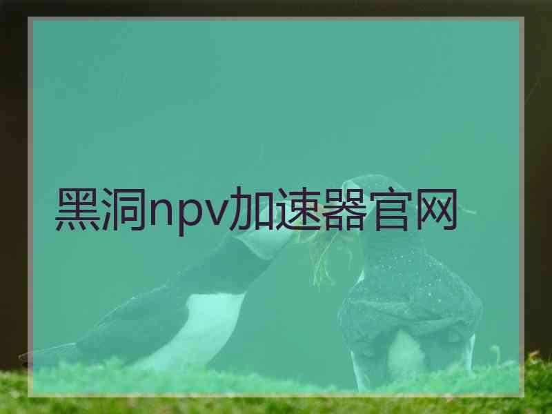 黑洞npv加速器官网