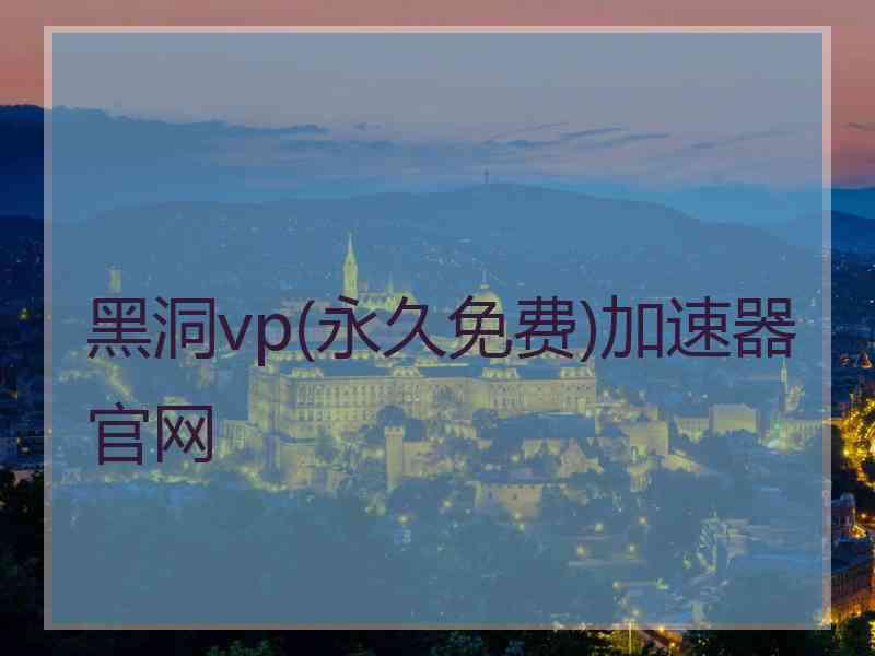 黑洞vp(永久免费)加速器官网