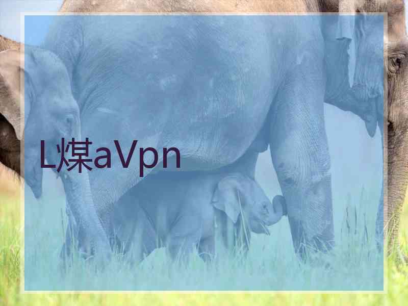 L煤aVpn
