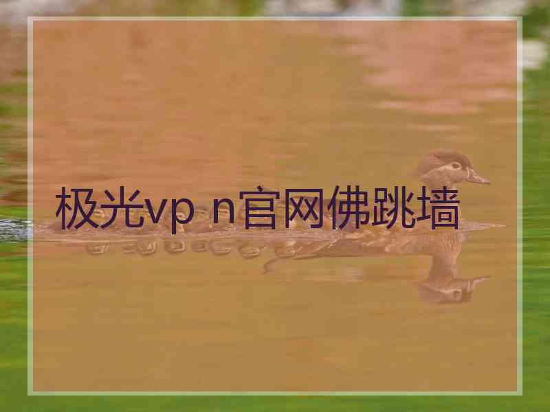 极光vp n官网佛跳墙