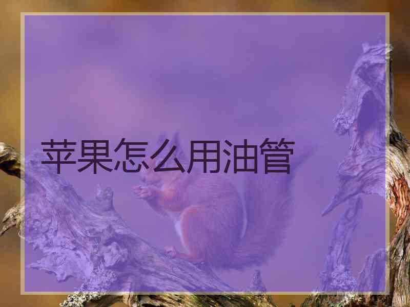 苹果怎么用油管
