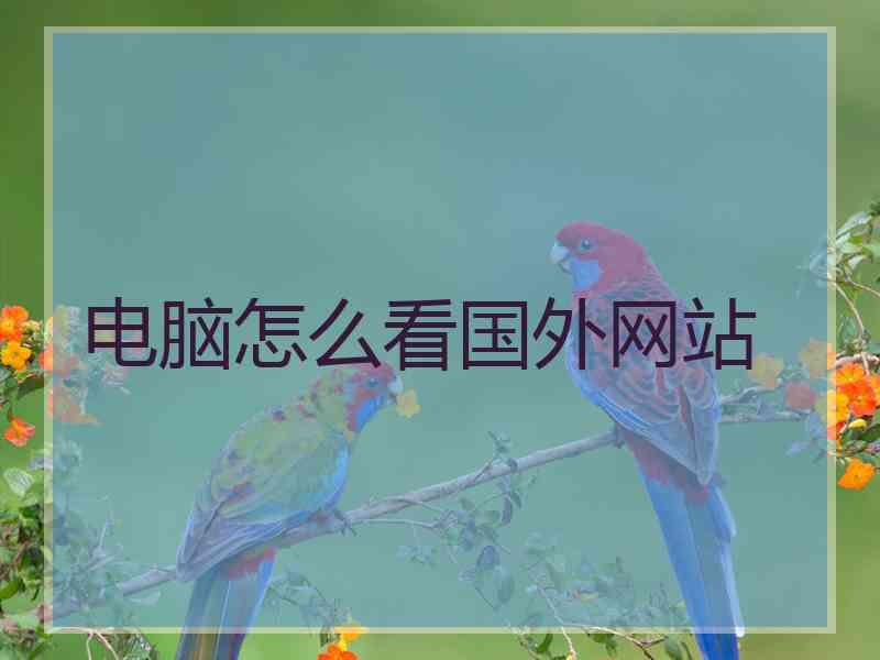 电脑怎么看国外网站