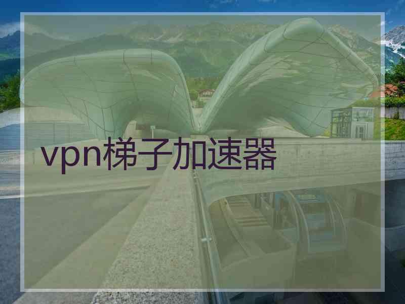 vpn梯子加速器
