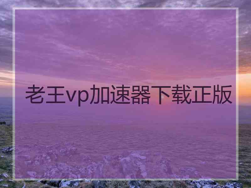 老王vp加速器下载正版