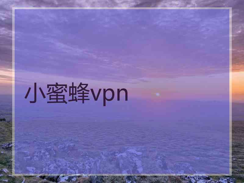 小蜜蜂vpn