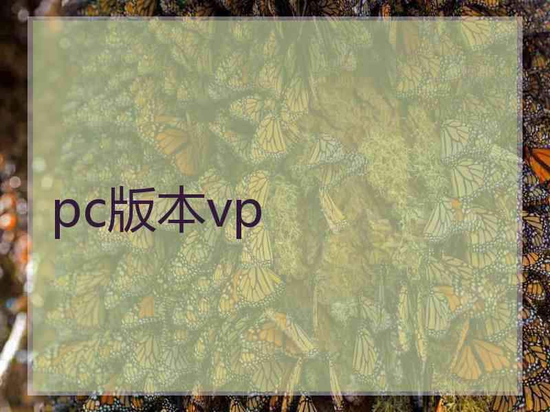 pc版本vp